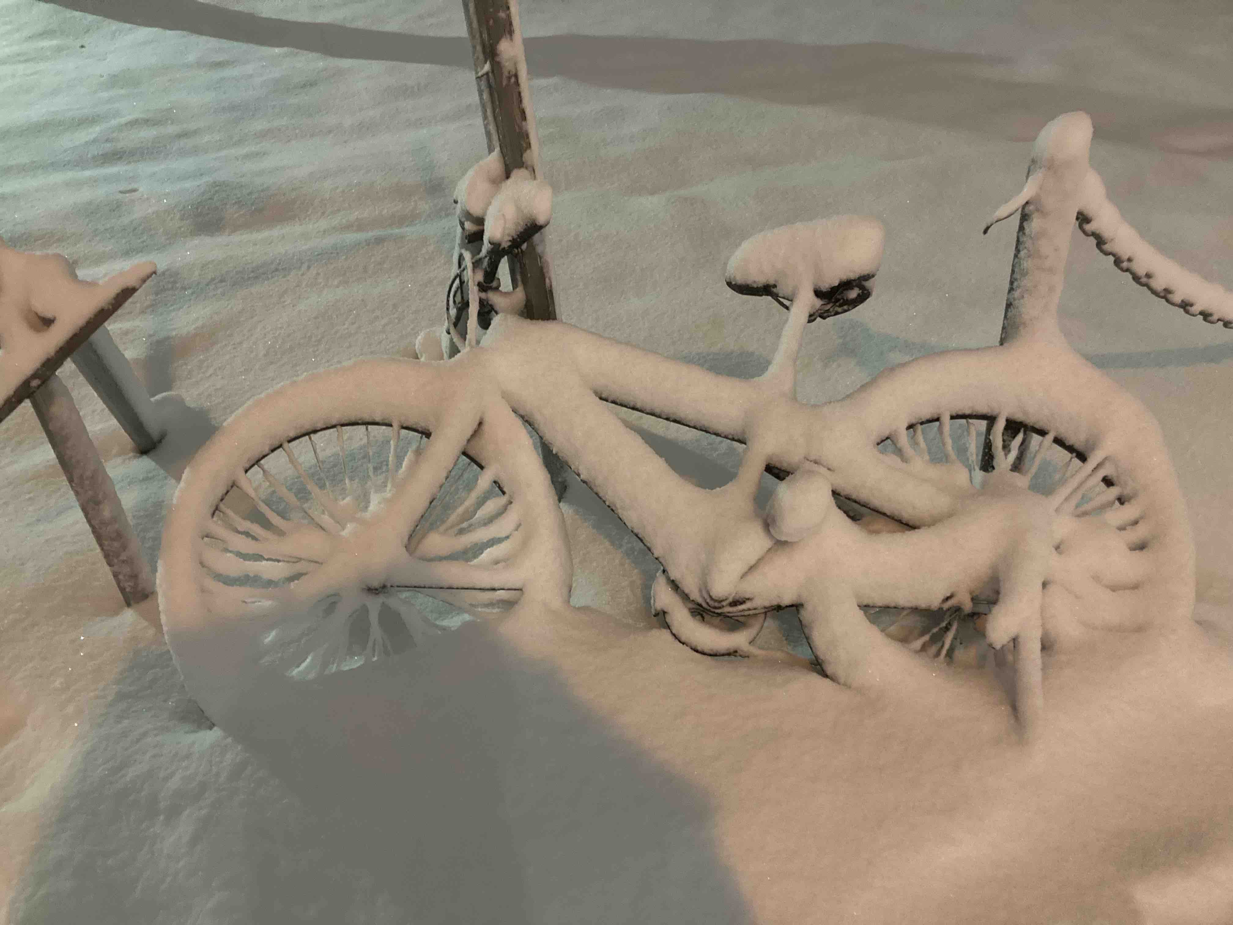 winter